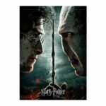 Harry Potter Jigsaw Puzzle Harry vs Voldemort (1000 pieces)