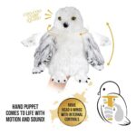 Harry Potter Interactive Plush Figure Hedwig 30 cm by Noble Collection - immagine 3