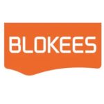 Transformers Blokees Plastic Model Kit Classic Class 13 Elita