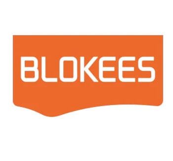 Transformers Blokees Plastic Model Kit Classic Class 13 Elita