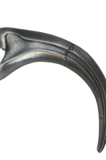 Jurassic Park Bottle Opener Fossil Raptor Claw 14 cm