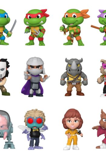 Teenage Mutant Ninja Turtles Mystery Mini Figures 5 cm Display (12)