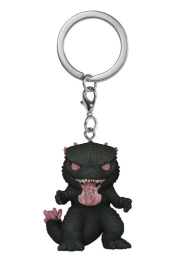 Godzilla vs. Kong 2 POP! Vinyl Keychains 4 cm Godzilla Display (12)