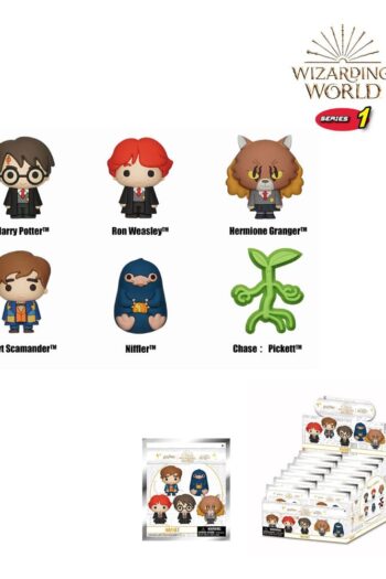 Wizarding World 3D Magnets Series 1 Display (12)