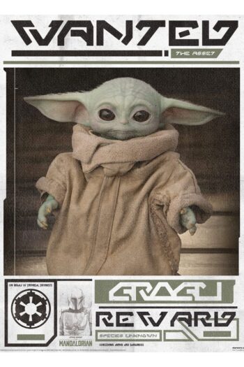 Star Wars: The Mandalorian Poster Pack Grogu Wanted 40 x 50 cm (4)
