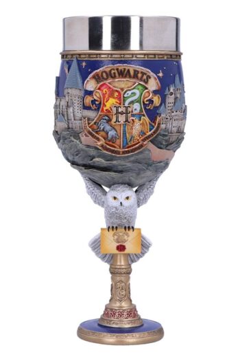 Harry Potter Goblet Hogwarts
