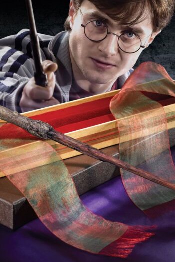 Harry Potter Wand Harry Potter 35 cm