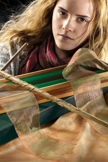 Harry Potter Wand Hermione Granger