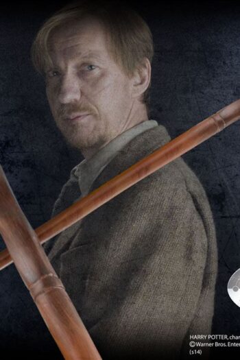 Harry Potter Wand Professor Remus Lupin (Character-Edition)