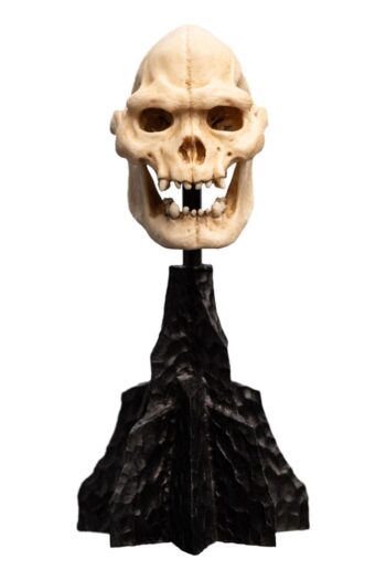 Lord of the Rings Mini Statue Skull of Lurtz 14 cm