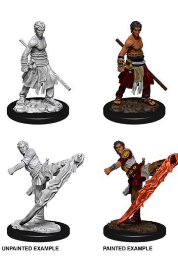 D&D Nolzur's Marvelous Miniatures Unpainted Miniatures Male Half-Elf Monk Case (6)