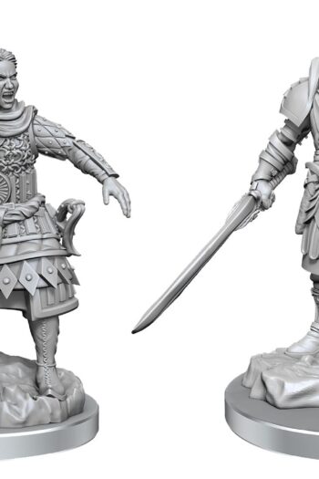 D&D Nolzur's Marvelous Miniatures Unpainted Miniatures 2-Pack Human Fighters