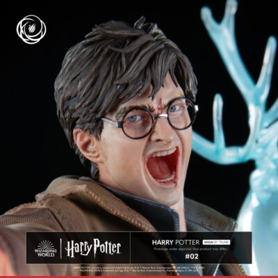 Harry Potter Ikigai 1/6 Statua Harry Potter by Tsume - immagine 3