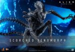 Alien: Romulus Movie Masterpiece Action Figure 1/6 Scorched Xenomorph 44 cm by Hot Toys - immagine 2