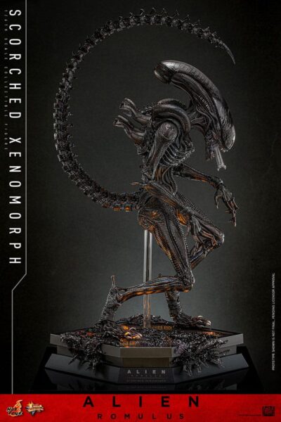 Alien: Romulus Movie Masterpiece Action Figure 1/6 Scorched Xenomorph 44 cm by Hot Toys - immagine 5