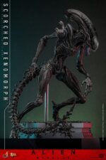 Alien: Romulus Movie Masterpiece Action Figure 1/6 Scorched Xenomorph 44 cm by Hot Toys