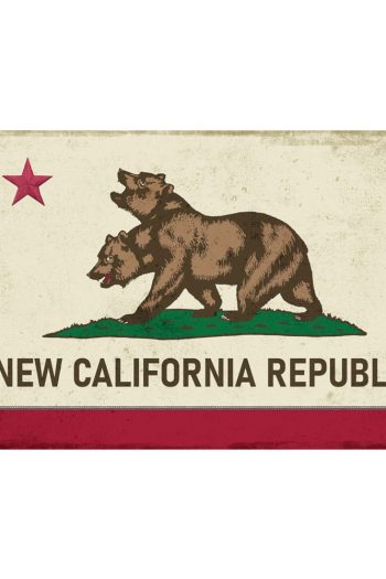 Fallout Canvas Banner NCR