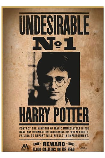 Harry Potter Puzzle Wanted No1 Harry Potter (50 pieces)