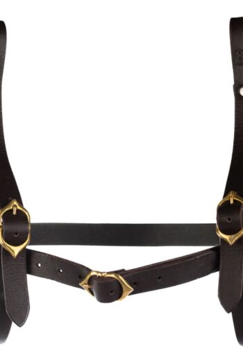 Dungeons & Dragons Book Holder Wizard Brown