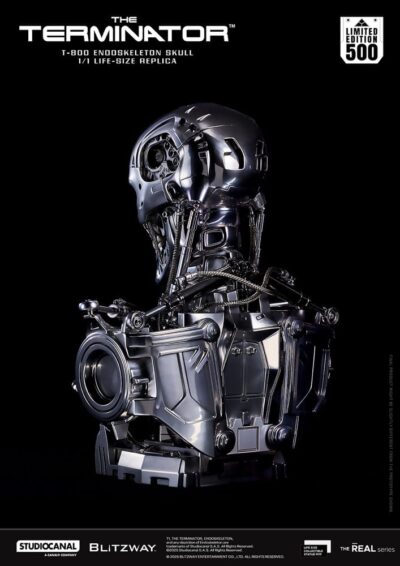 The Terminator The Real Series Life Size Bust T-800 Endoskeleton Skull 50 cm by Blitzway - immagine 3