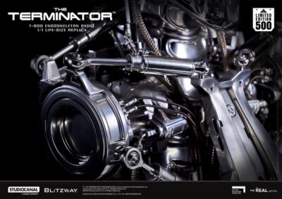 The Terminator The Real Series Life Size Bust T-800 Endoskeleton Skull 50 cm by Blitzway - immagine 7