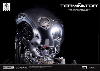 The Terminator The Real Series Life Size Bust T-800 Endoskeleton Skull 50 cm by Blitzway - immagine 9