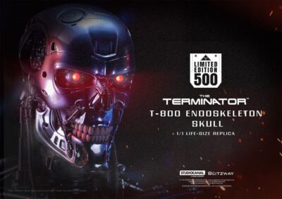 The Terminator The Real Series Life Size Bust T-800 Endoskeleton Skull 50 cm by Blitzway - immagine 18