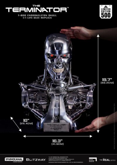 The Terminator The Real Series Life Size Bust T-800 Endoskeleton Skull 50 cm by Blitzway - immagine 17