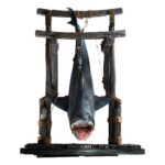 Jaws Maquette 1/12 Jaws 76 cm
