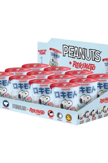Peanuts + Rokimoto Blind Box Figures 10 cm Display (12)