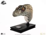 Jurassic Park III Bust Female Velociraptor White Queen 75 cm by Ecc Elite - immagine 9