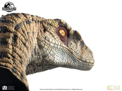 Jurassic Park III Bust Female Velociraptor White Queen 75 cm by Ecc Elite - immagine 5