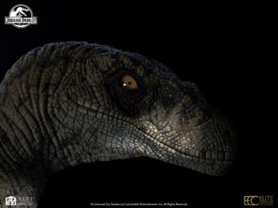 Jurassic Park III Bust Female Velociraptor White Queen 75 cm by Ecc Elite - immagine 4