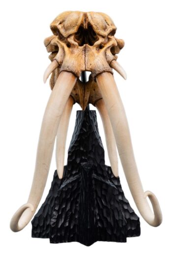 Lord of the Rings Mini Statue Skull of a Mumak 15 cm