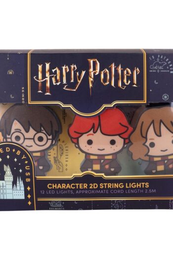 Harry Potter String Lights 2D Letter of Acceptance & Hedwig