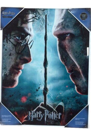 Harry Potter Glass Poster Harry & Voldemort 30 x 40 cm