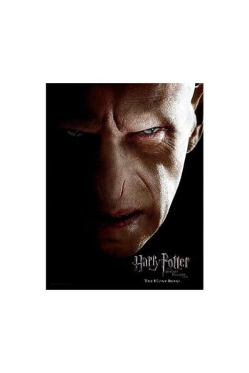 Harry Potter Glass Poster Voldemort 30 x 40 cm
