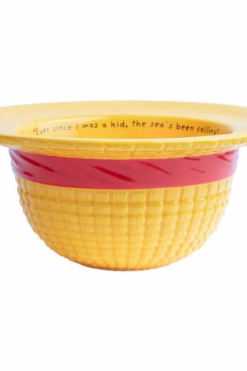 One Piece 3D Bowl Straw Hat