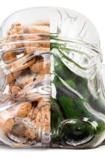 Original Stormtrooper Storage Glass / Terrarium Trooper