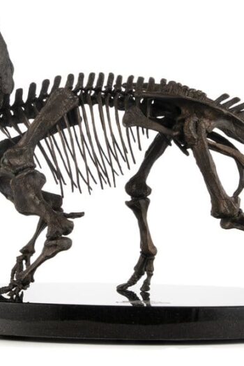 Jurassic World ECC Elite Creature Line Statue 1/12 Triceratops Fossil Skeleton Bronze 33 cm
