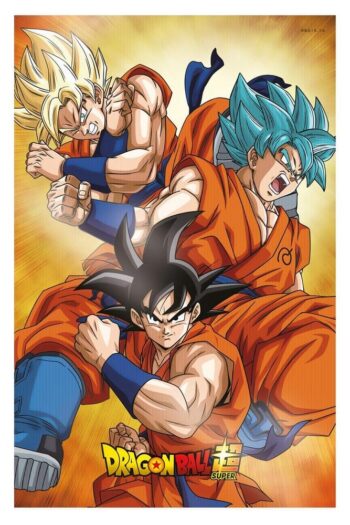 Dragon Ball Super 3D Poster Champa Goku 38 x 58 cm