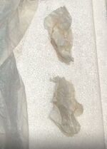 Frozen Master Craft Statue Elsa Let It Go 40 cm by Beast Kingdom - immagine 5