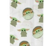 Star Wars : The Mandalorian Drink Bottle The Child