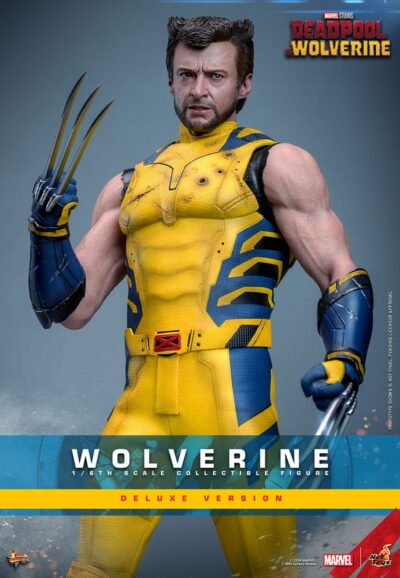 Deadpool & Wolverine Movie Masterpiece Action Figure 1/6 Wolverine (Deluxe Version) 31 cm by Hot Toys - immagine 5