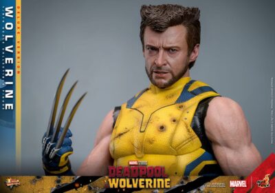 Deadpool & Wolverine Movie Masterpiece Action Figure 1/6 Wolverine (Deluxe Version) 31 cm by Hot Toys - immagine 14