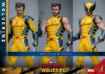 Deadpool & Wolverine Movie Masterpiece Action Figure 1/6 Wolverine (Deluxe Version) 31 cm by Hot Toys - immagine 16