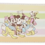 Disney by Loungefly Cardholder Mickey and Friends Rainbow Stripes