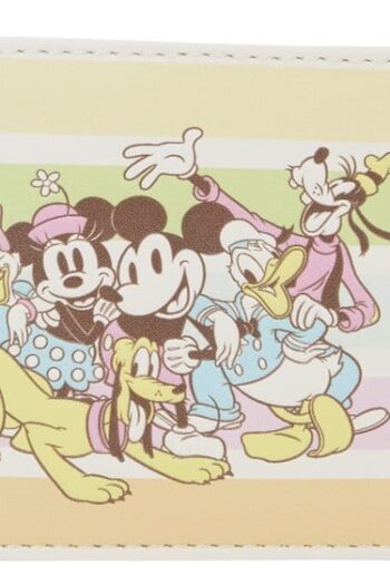 Disney by Loungefly Cardholder Mickey and Friends Rainbow Stripes