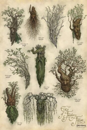 Lord of the Rings Art Print Ent's of Fangorn Forest 59 x 30 cm