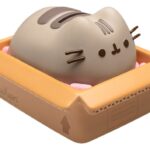 Pusheen Piggy Bank